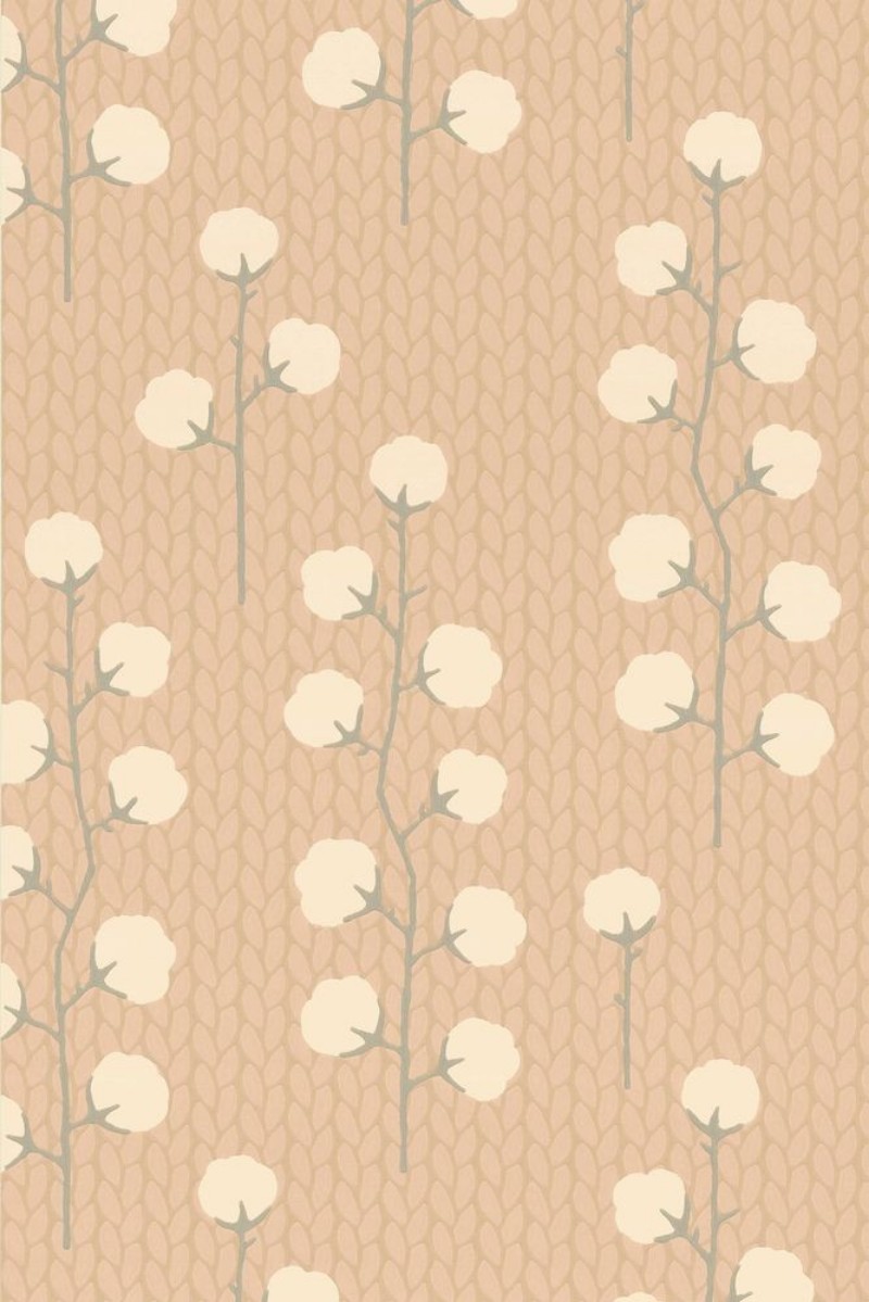 Afbeeldingen van Sweet Cotton Desert rose - 169-01